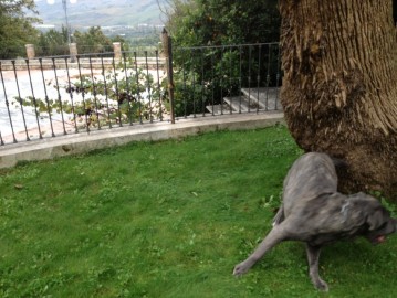 Raduno Dell Anno 2013, Colli Dell Tronto
