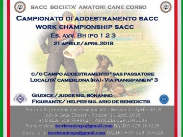 Work Championship SACC 2018 Itali